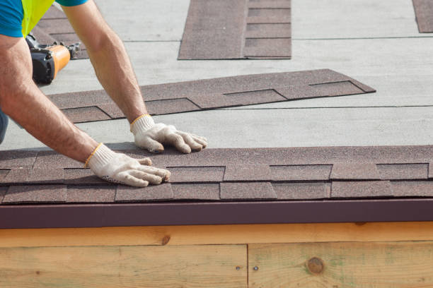 Best Roof Insulation Installation  in Picacho Hills, NM